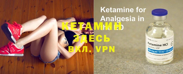 трава Белокуриха