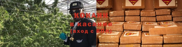 трава Белокуриха