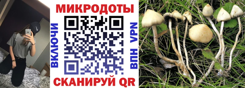 Псилоцибиновые грибы прущие грибы  mega зеркало  Весьегонск 