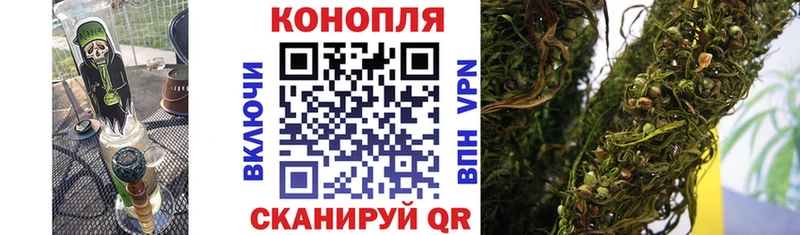 Марихуана план  где найти   Весьегонск 